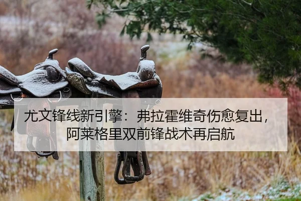 尤文锋线新引擎：弗拉霍维奇伤愈复出，阿莱格里双前锋战术再启航