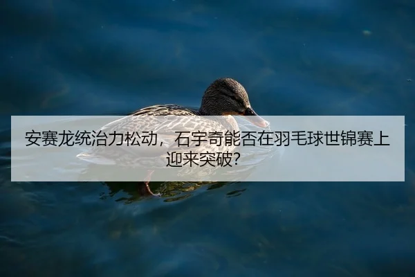 an-sai-long-tong-zhi-li-song-dong-shi-yu-qi-neng-fou-zai-yu-mao-qiu-shi-jin-sai-shang-ying-lai-tu-po-2-301.jpg