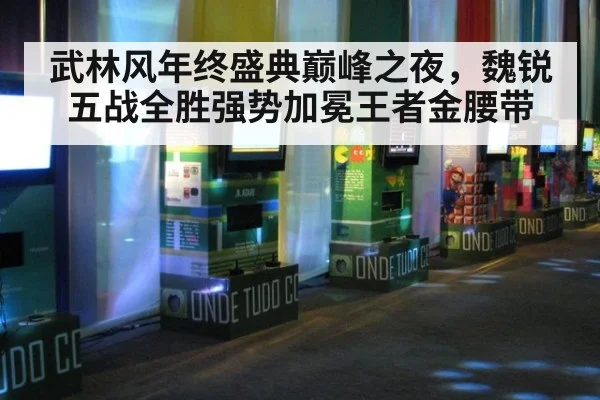 武林风年终盛典巅峰之夜，魏锐五战全胜强势加冕王者金腰带