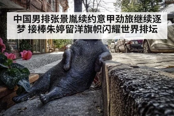 中国男排张景胤续约意甲劲旅继续逐梦 接棒朱婷留洋旗帜闪耀世界排坛