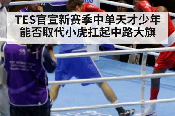 TES官宣新赛季中单天才少年能否取代小虎扛起中路大旗